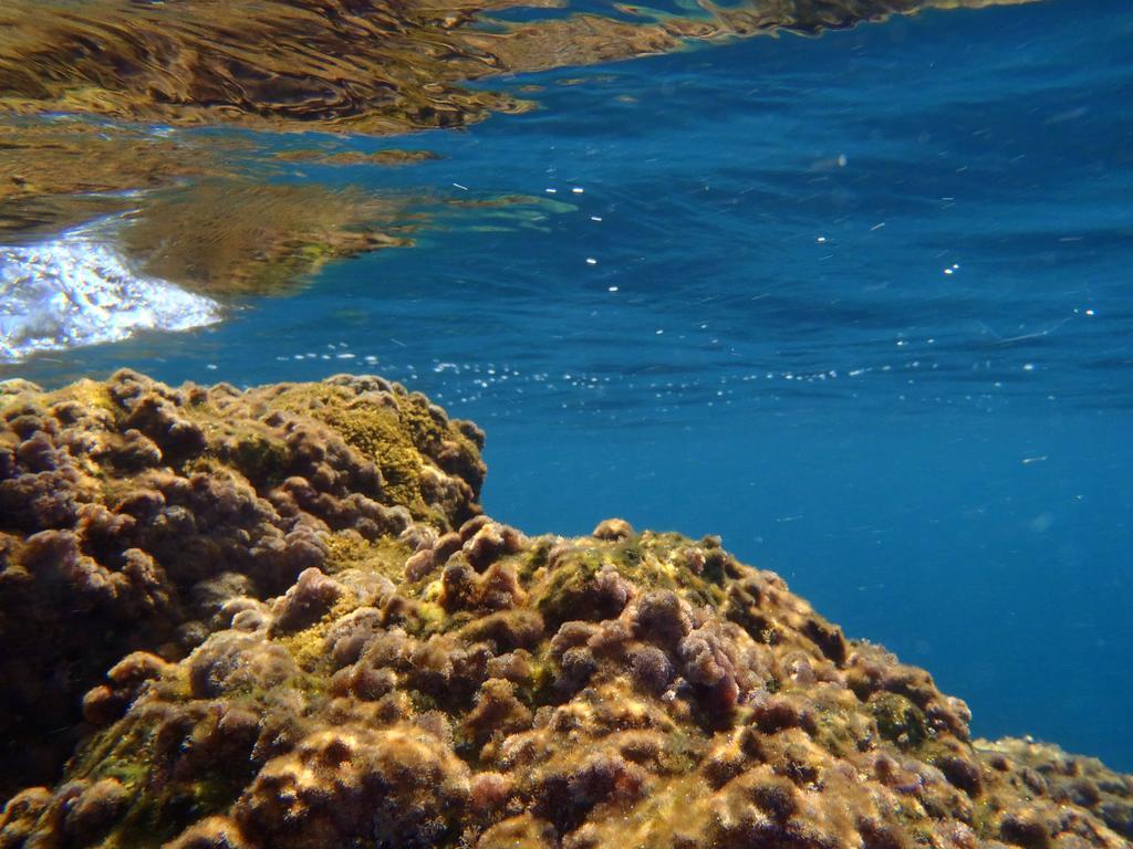 Le Casette Sul Mare Capo Vaticano Exterior foto
